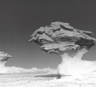 Formacje Skalne na Białej Pustyni w zachodniej części Egiptu, fot. B. Prochwicz-Studnicka